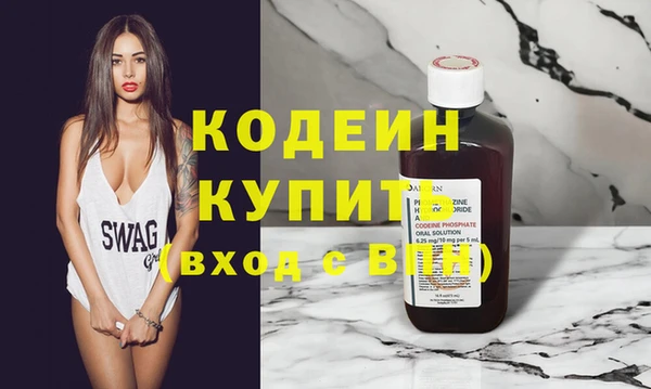 шишки Абаза