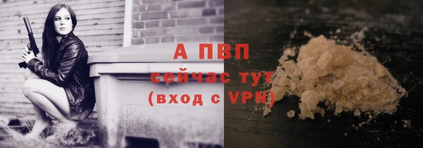 шишки Абаза