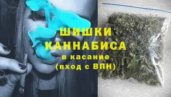 шишки Абаза