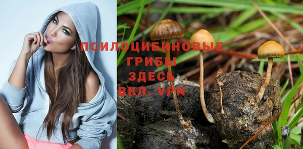 дурь Абинск