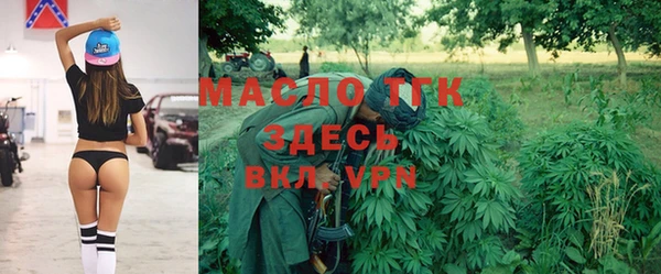 шишки Абаза