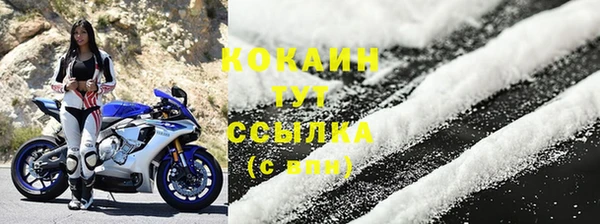 шишки Абаза