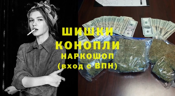 шишки Абаза
