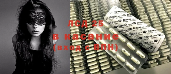 шишки Абаза