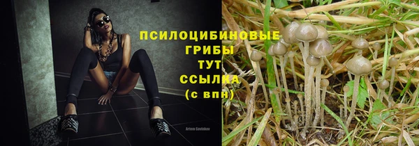 кокс Абдулино