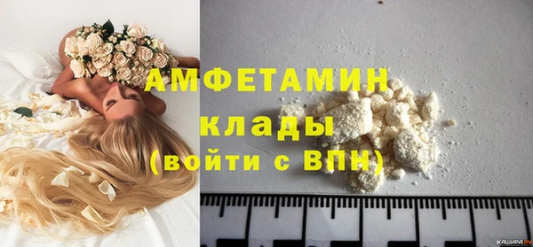шишки Абаза