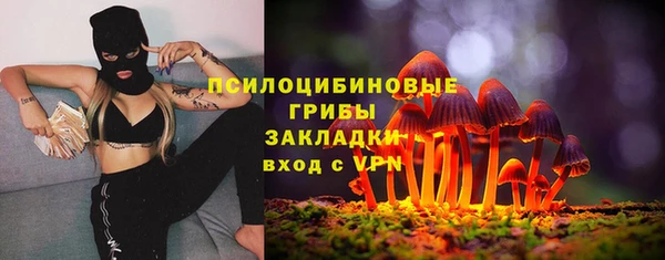 кокс Абдулино