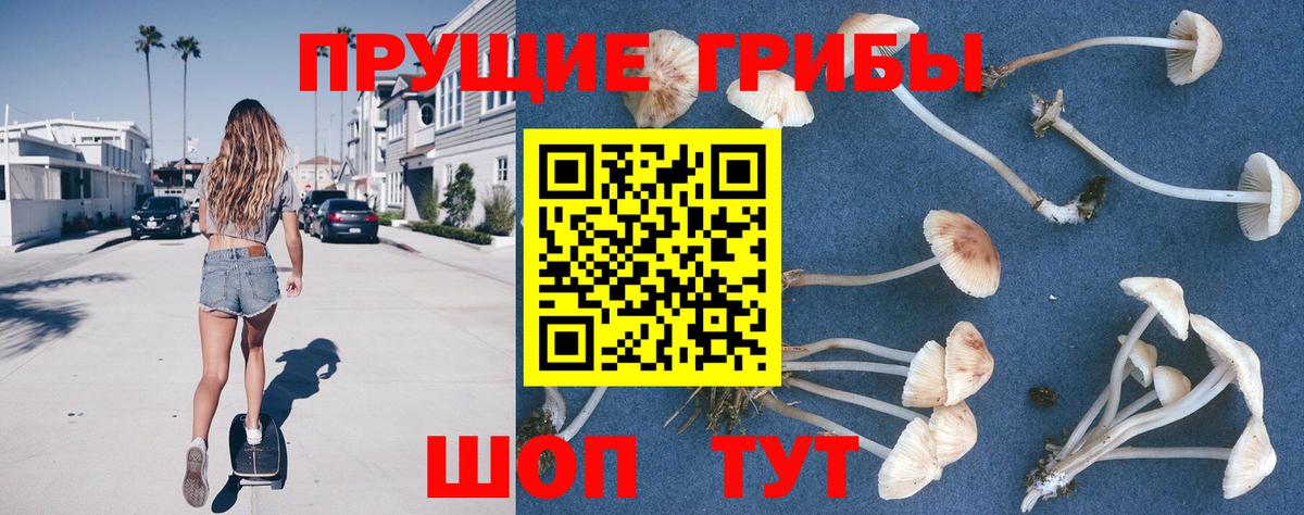 Галлюциногенные грибы Psilocybe Ханты-Мансийск
